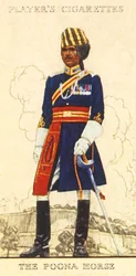 プーナ馬、1936年。