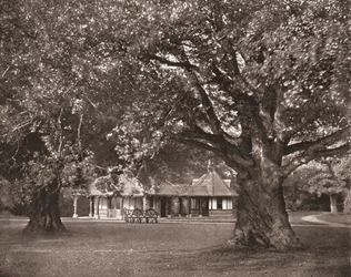 クイーンズティールーム、フロッグモア、バークシャー、1894。