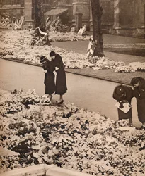 ウィンザーでのジョージ5世の国家葬儀：記念花輪、1936