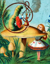 キノコの幼虫、c1900。
