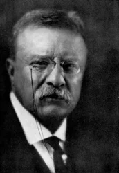 セオドアルーズベルト、第26代アメリカ合衆国大統領、1933年