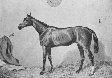 ソーマンビー、c1860、1911