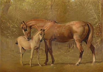 サラブレッドの牝馬と子馬、c1879。