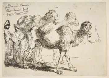 3つのDromedaries.nd