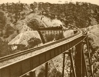 高架橋を通過する列車、マウントロフティ山脈、南オーストラリア州、1930年。