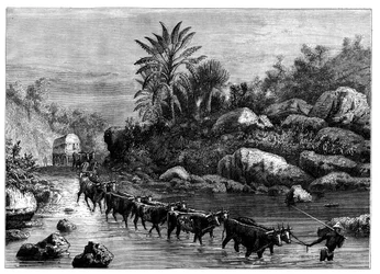 南アフリカ、グリクアランドを旅する、c1890