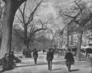 Tremont Street and The Common、ボストン、米国、c1900。
