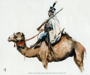 第一ナポレオンエジプト軍のラクダ軍団の騎兵、1790年代20世紀