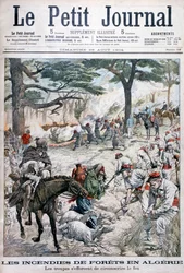 森林火災を阻止しようとする軍隊、アルジェリア、1904