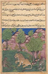 オウムのトゥティ生テイルズ：物語XXVIII：猿は不審なライオンに助言します...、c。 1560年。