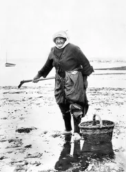 イギリス：海岸でザルガイを拾う老婦人。1890年頃