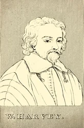 W・ハーヴェイ、1578-1657、1830。