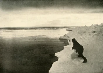 Ice-Edge、c1908、1909でアザラシを監視しています。