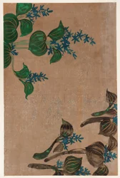 青い花の水草、江戸時代、1615-1868.