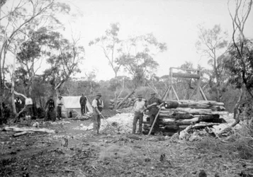 滝の金鉱、Boorara、カルグーリー、西オーストラリア、1896