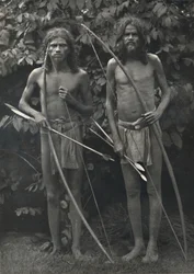 弓と矢を持つウェッダ、1926