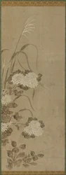 白い菊と草、江戸時代、1615-1868.