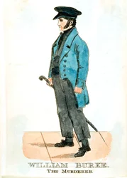 ウィリアム・バーク、アイルランドの殺人犯、ボディスナッチャー