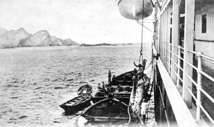 チリの沖合のボートに牛をウインチウチ、c1900年代
