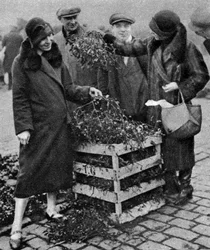 ヤドリギの束を選ぶ女性たち、カレドニアンマーケット、ロンドン、1926-1927