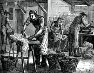 ウールソーター、C1880