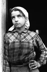 イタリア・カラブリア州でオリーブの収穫をする少女（1955年頃）（モノクロ写真