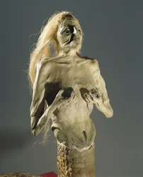 半人半蛇の生き物、メリュジーヌの子孫、1900年