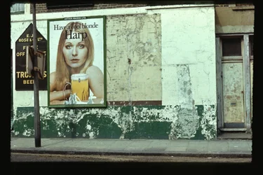 クールブロンドハープ、キルバーン、1966年（写真）