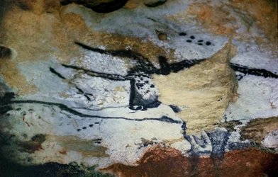 長い角を持つ雄牛の岩絵、ホールオブブルズ、紀元前17000年頃