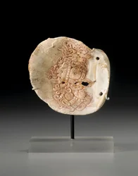 役人の胴体の輪郭が描かれたマヤ貝の胸郭、450〜650年頃