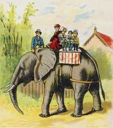 ゾウに座る家族。ABC L