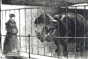 リージェンツ・パーク動物園の女性。