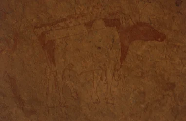 アルジェリア、サハラ砂漠、Tassili-n-Ajjer国立公園、セファール遺跡、雄牛を描いた岩絵。