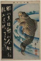 コイと水草、c。 1830年代初頭（カラー木版画）