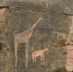 先史時代の絵画のクローズアップ（ニジェール・テネレ砂漠