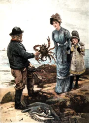 イギリス海岸でのカニ漁（イラスト）