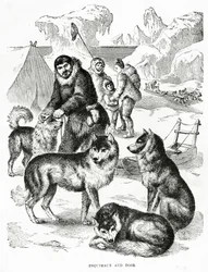 エスキモーと犬。1902年（リトグラフ