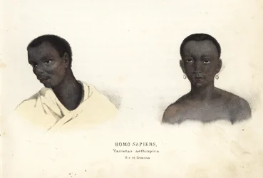 エチオピアの男女。Georg Friedrich Treitschkeの自然史ギャラリー、Naturhistorischer Bildersaal des Thierreiches、Liepzig-1842所蔵の手彩色スチール・エングレーヴィング。