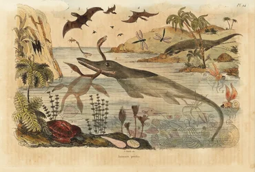 絶滅した恐竜、魚竜、プレシオサウルス、海洋動物、翼竜、トカゲ、カメ、昆虫、魚、イカ、軟体動物、その他
