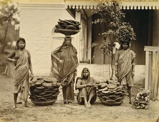 インドの農民女性が、燃料となる糞餅と調理用の薪を籠に入れている様子（セピア写真