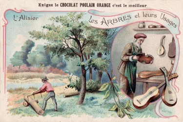 アリシエ、フランス、1910年頃（クロモリトグラフ）