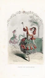 手榴弾の報酬 - ジャン・イグナス・イジドール・ジェラール（J.J.J.グランヴィル、1803-1847）の挿絵に基づくシャルル・ジョフロワ（1819-1882）のエッチング。