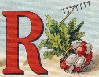 Letter R: rake, radish.Alphabet de ma petite fille "に掲載された版画。Bernardin-Bechet and Fils, bookseller-publishers, Paris, around 1895.壊れないアルバムをキャンバスにビブリオテーク・デ・ベイブ。12ページ。読み方とイラストの入ったアルバム。