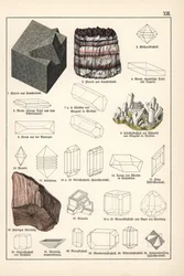 鉱物と結晶（蛍石、セレスタイン、繊維状宝石塩）-グスタフ・アドルフ・ケンゴット（1818-1897）著「鉱物学のクロモリ」、ゴッティルフ・ハインリヒ・フォン・シューベルト（1780-1860）著「博物誌」より抜粋