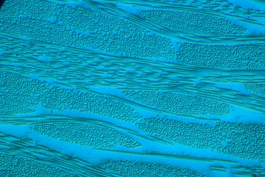 ポリマー、LM GRP ガラス強化プラスチック