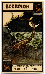 超常現象。 占星術。 蠍座（スコーピオン）。 占星術カード: Le Tarot Astrologique (Astrological Tarot)、Georges Muchery、フランス