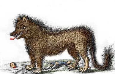 足の周りに犠牲者の骨が散らばるゲヴォーダンの獣の表現 1764年頃のエングレーヴィング（1764年の表現におけるゲヴォーダンの獣） 個人蔵