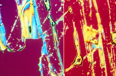 SILICATES, LM コロイダルシリカとの干渉層 コロイダルシリカの堆積物との干渉層