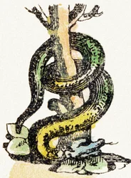 S-蛇-チャイルドエンターテインメントアルファベットc.1890（リトグラフ）