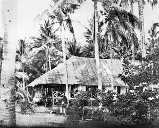 シンガポール：ヤシの木に囲まれたプライベートバンガロー。シンガポール, c1875
